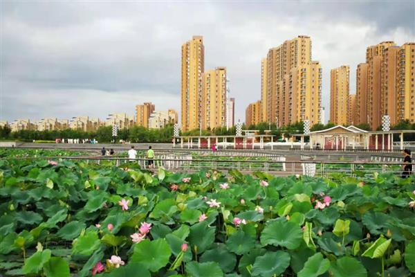 辽宁省铁岭市昌图县的特产，有铁岭胡萝卜、傅家花生等