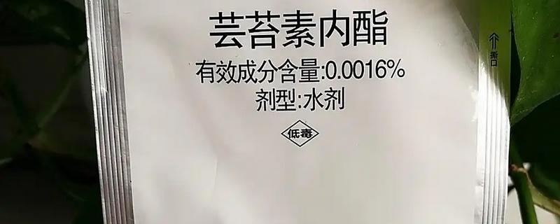 芸苔素有什么作用，可促进作物生长