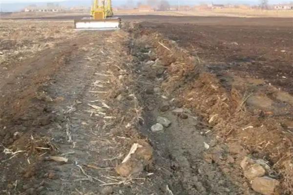 蓝宝石葡萄的习性，生长适温为20-25℃