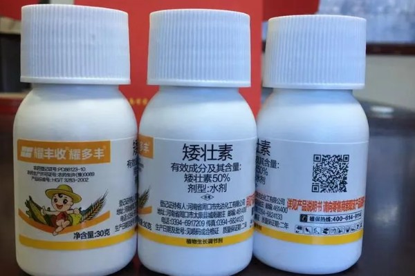 矮壮素适合哪种植物,适合施用在小麦、水稻等作物