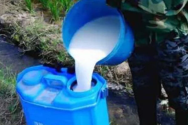 夏季如何喷药能提高药效,先确定防治对象