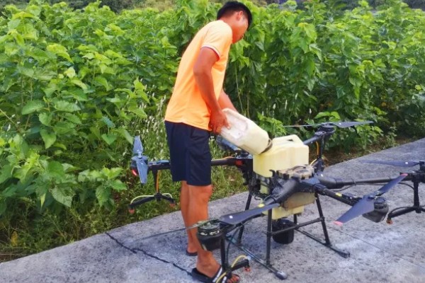 桑葚菌核病的防治方法，可喷施甲基托布津