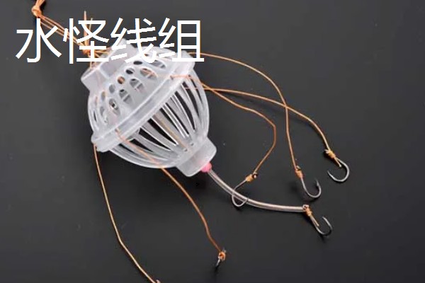 鲢鳙鱼的垂钓时间，夏季是钓鲢鳙鱼的黄金时间