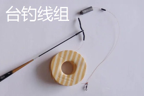 鲢鳙鱼的垂钓时间，夏季是钓鲢鳙鱼的黄金时间