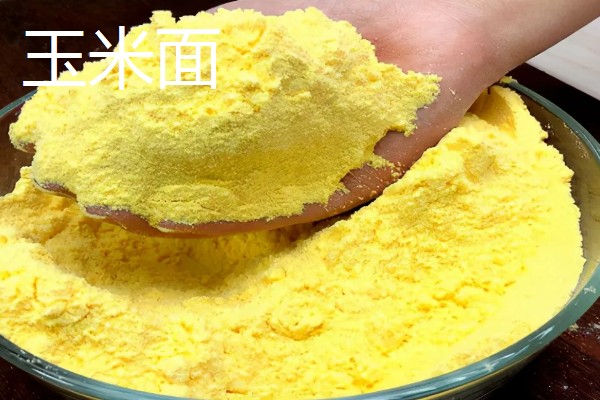 鲢鳙鱼的垂钓时间，夏季是钓鲢鳙鱼的黄金时间