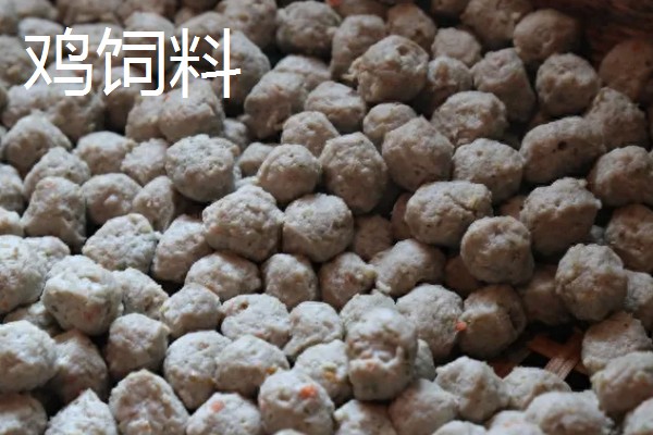 鲢鳙鱼的垂钓时间，夏季是钓鲢鳙鱼的黄金时间
