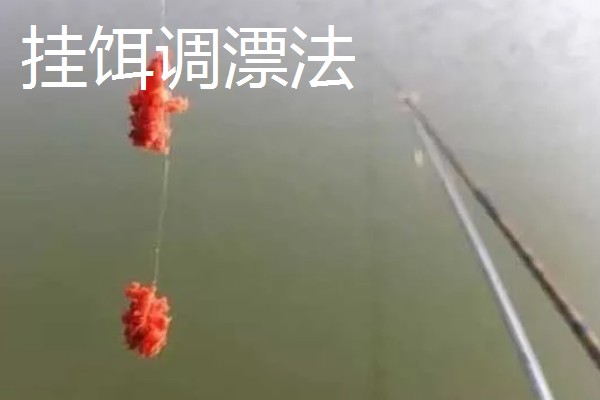 鲢鳙鱼的垂钓时间，夏季是钓鲢鳙鱼的黄金时间