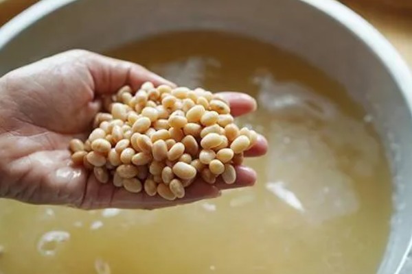大豆怎么发酵成肥料，煮熟碾碎后装入容器中密封发酵
