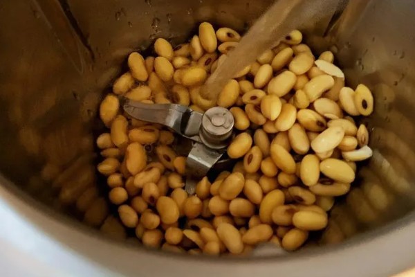 大豆怎么发酵成肥料，煮熟碾碎后装入容器中密封发酵