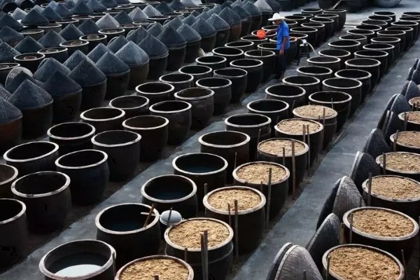 大豆怎么发酵成肥料，煮熟碾碎后装入容器中密封发酵