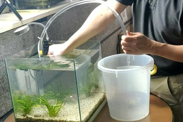 鱼缸铺石头怎么去鱼屎，可以人工清理