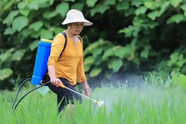 生物农药的正确施用方法,生物农药需现配现用