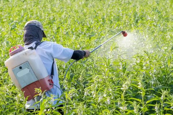 生物农药的正确施用方法,生物农药需现配现用