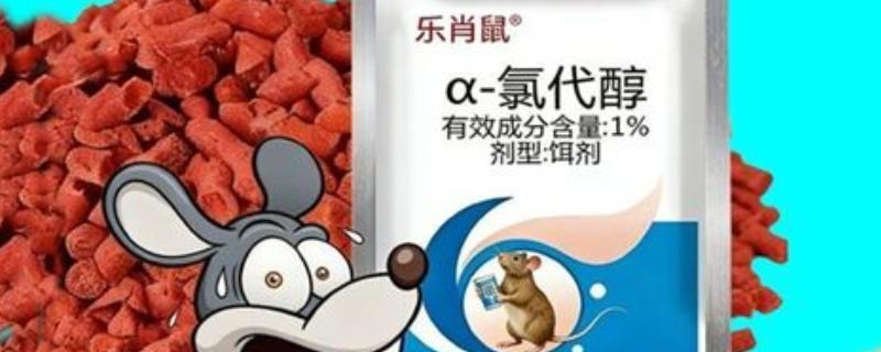 氯代醇灭鼠的原理，破坏老鼠体内内分泌和循环系统