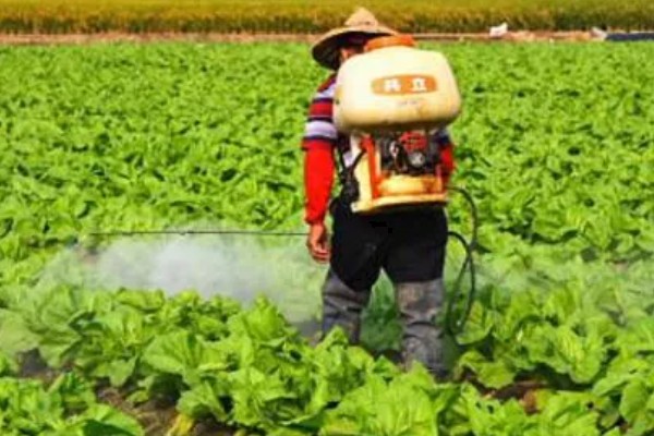 蔬菜类农产品有哪些污染途径，农药和肥料是蔬菜的污染途径