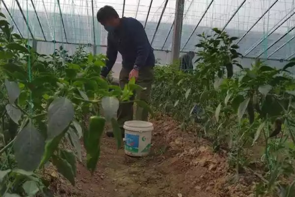 蔬菜类农产品有哪些污染途径，农药和肥料是蔬菜的污染途径