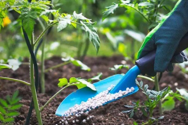 蔬菜类农产品有哪些污染途径，农药和肥料是蔬菜的污染途径