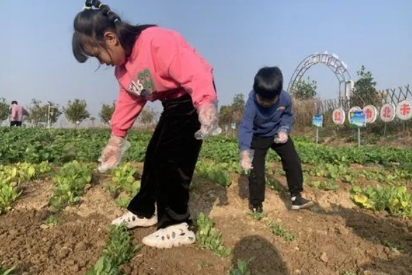 蔬菜类农产品有哪些污染途径，农药和肥料是蔬菜的污染途径