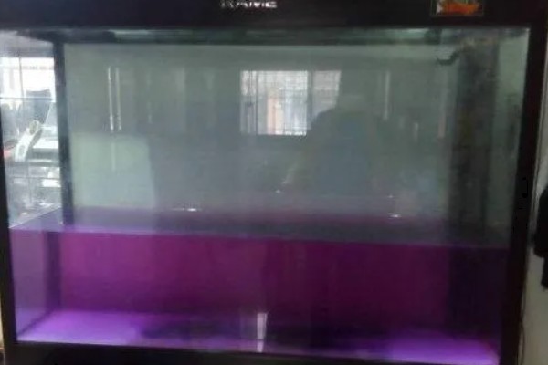 为什么养鱼老是死，多半是水质不好的原因