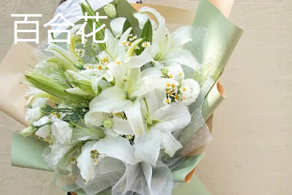 去墓地买什么花,推荐菊花、百合花等