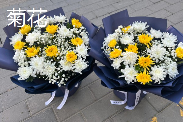 去墓地买什么花,推荐菊花、百合花等