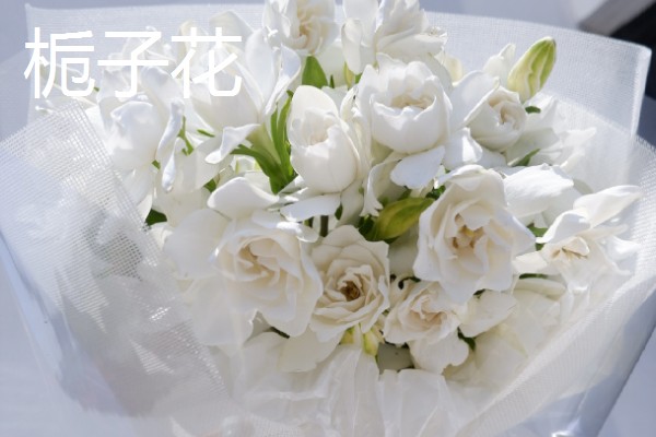 去墓地买什么花,推荐菊花、百合花等