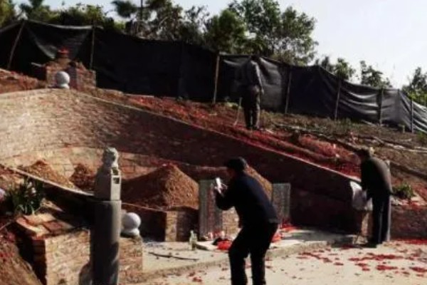 去墓地买什么花,推荐菊花、百合花等