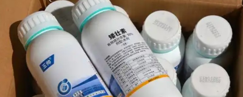 矮壮素适合哪种植物，适合施用在小麦、水稻等作物