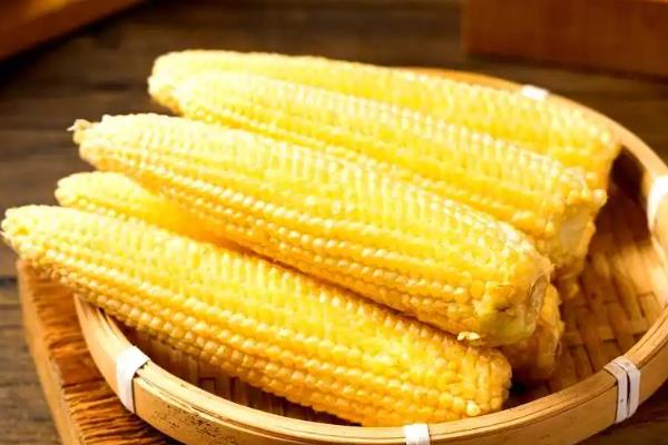 有哪些农作物粮食种类，分为谷类作物和薯类作物