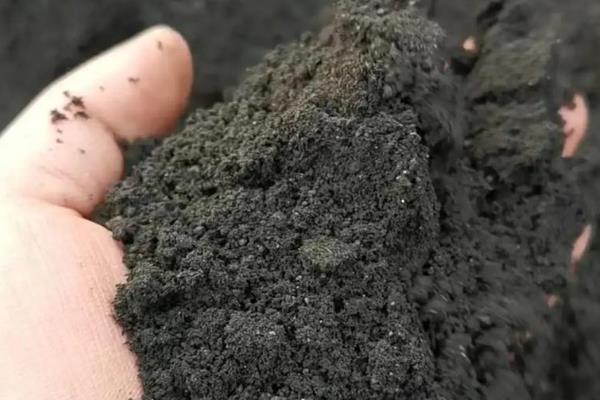 办公桌上适合放什么植物,推荐吊兰、凤梨花等