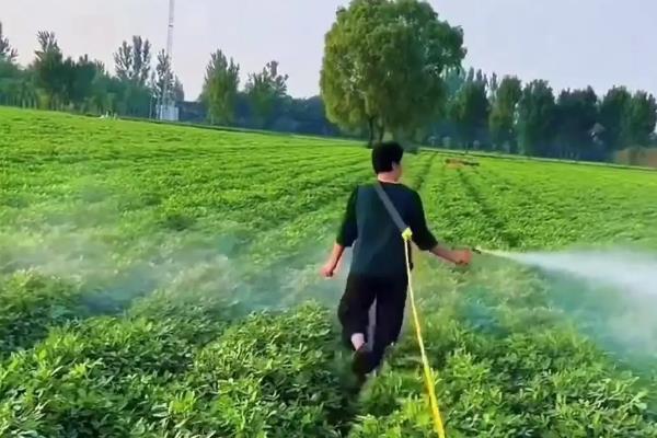 噻霉酮可以防治什么病，可以防治黄瓜霜霉病、梨黑星病等