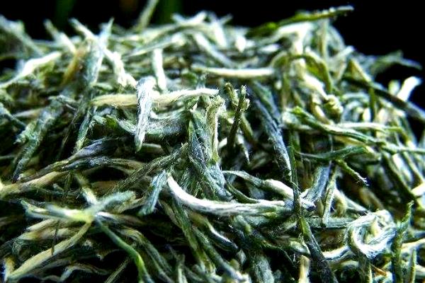 古丈毛尖属于哪种茶,是一种绿茶