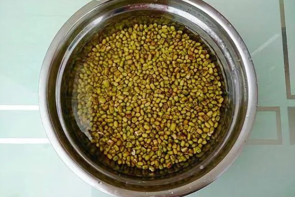 绿豆什么时候种植,适合在4-7月份播种