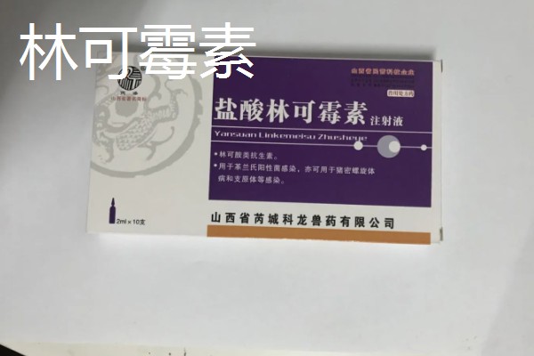 兽药怎么搭配治疗,喹烯酮+黄霉素具有抗菌、止泻等作用