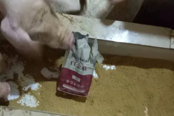 70斤猪拉稀怎么办，应用抗菌药物