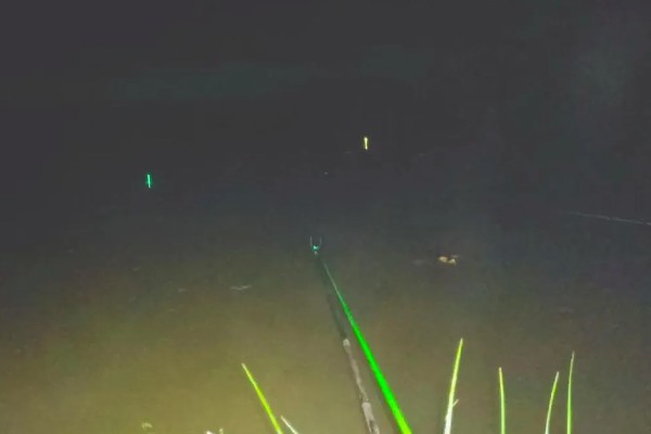 夜钓为什么没口,常见低温、饵料不适、调漂不灵等原因