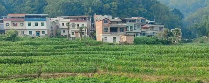 农村五十三不欠六十不借债的意思，到了60岁便不借钱