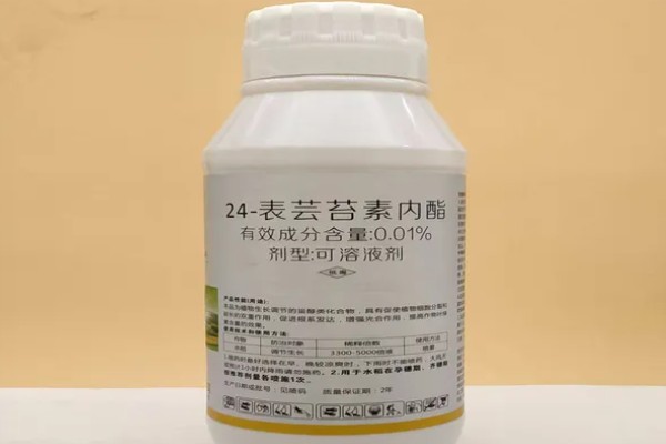 芸苔素有什么作用,可促进作物生长