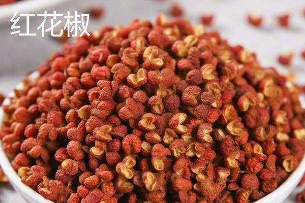 红花椒和青花椒的区别,麻味、颜色、气味等方面不同
