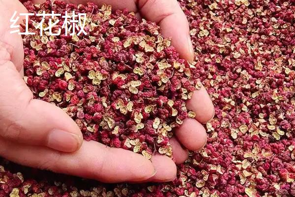 红花椒和青花椒的区别,麻味、颜色、气味等方面不同