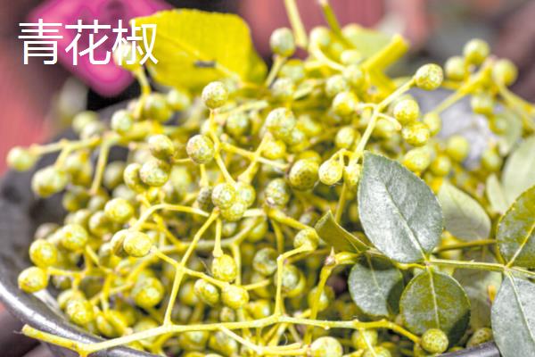 红花椒和青花椒的区别,麻味、颜色、气味等方面不同