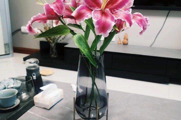 水插百合花可以活多久，通常是7-20天