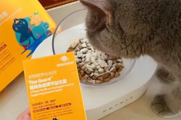 猫呕吐拉稀的原因，可能喝了冷水所致