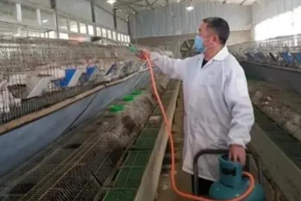 兔子打喷嚏怎么办，可以尝试先给兔笼消毒
