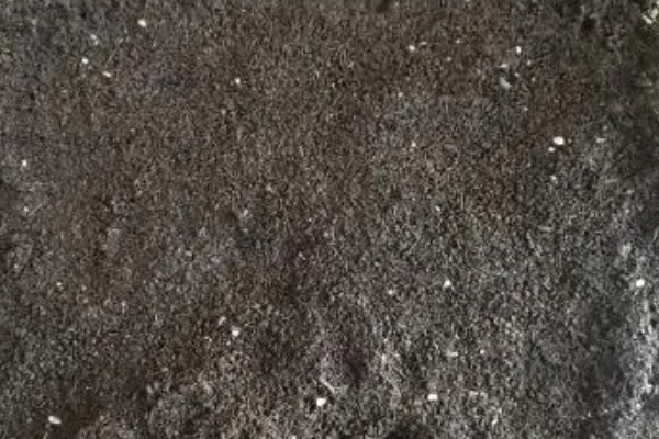 旱黄瓜的种植技术,喜欢在温暖的环境中生长