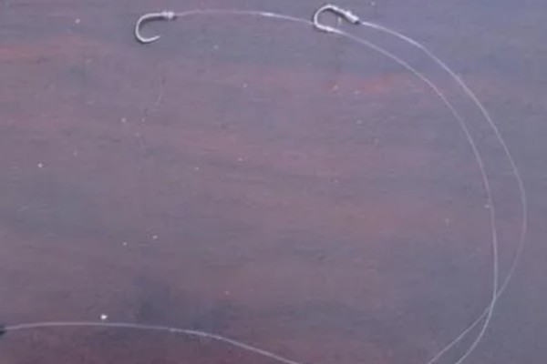 2.5主线配1.5子线可以钓多大鱼,能钓6斤以内的鱼