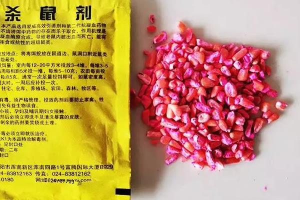 氯代醇灭鼠的原理，破坏老鼠体内内分泌和循环系统