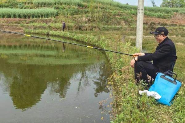 蚯蚓钓鲫鱼怎样上鱼快，要尽量选择水草区、入水口等