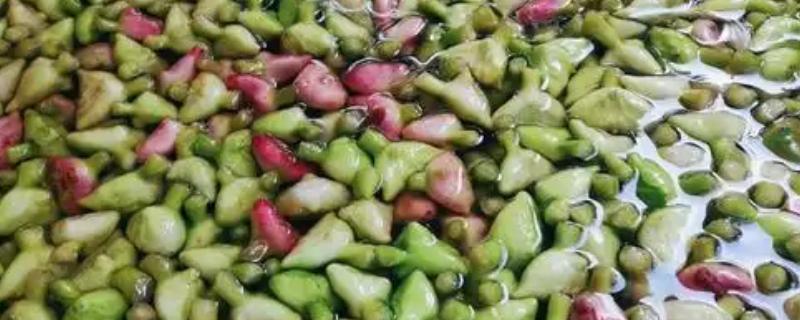 浙江嘉兴海盐县的特产，藕粉饺是消夏佳品