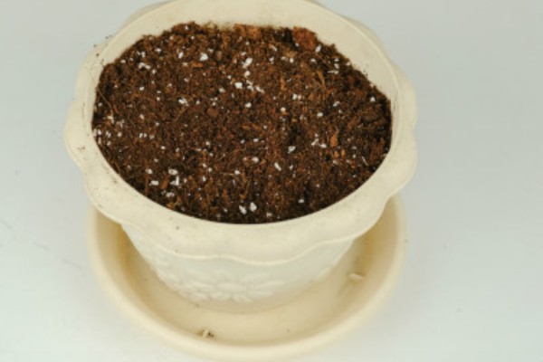 苦瓜如何盆栽，选择具备较好的透气性的容器种